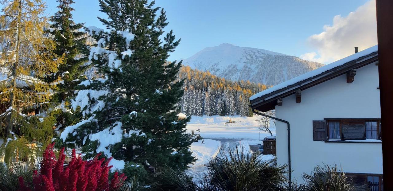 B&B Haus Im Sand Davos Eksteriør bilde